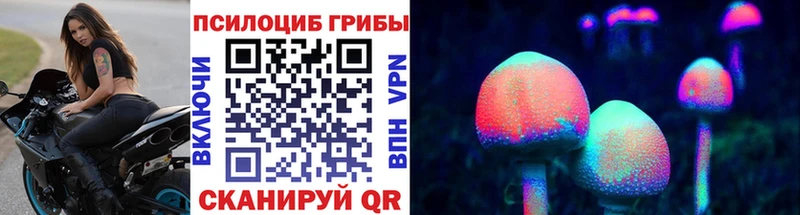 Псилоцибиновые грибы Psilocybe  Арамиль 